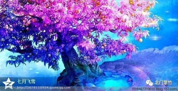 植物大战僵尸1